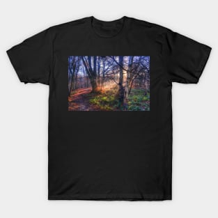 Autumn in Epping Forest T-Shirt